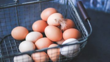 Comment bien choisir ses œufs ?