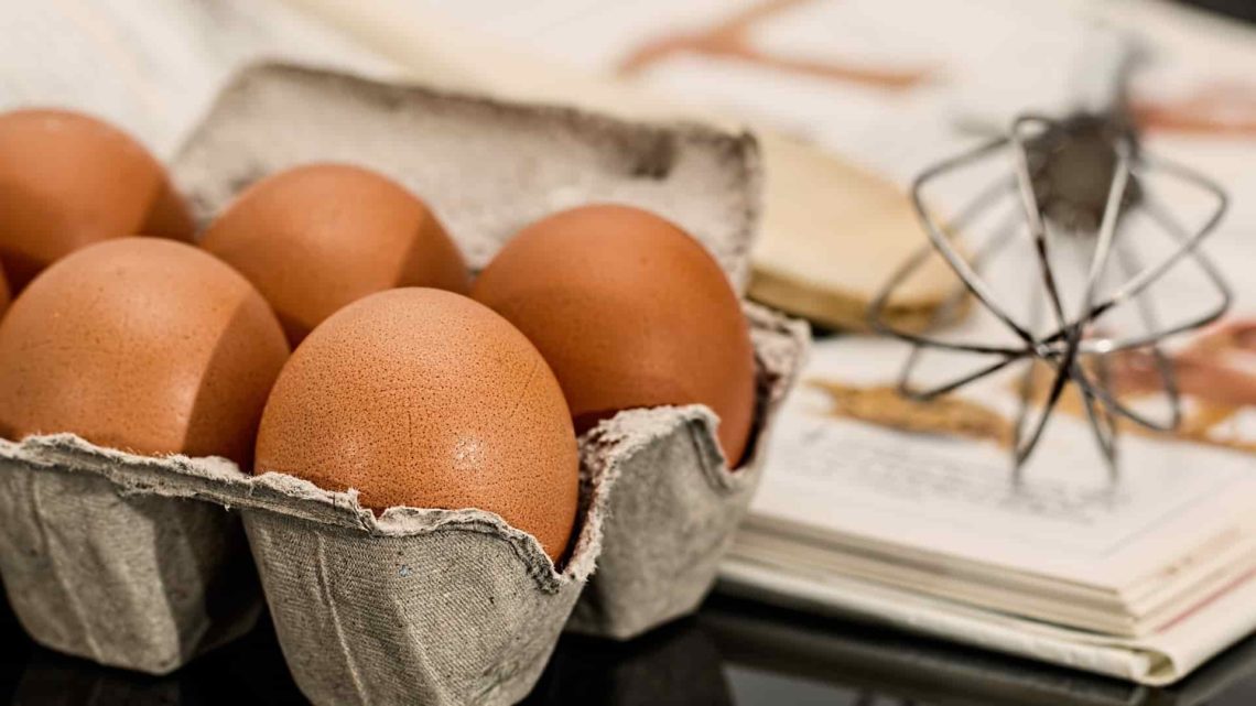 Tester un oeuf pour savoir s'il est bon