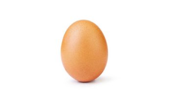World Record Egg Instagram